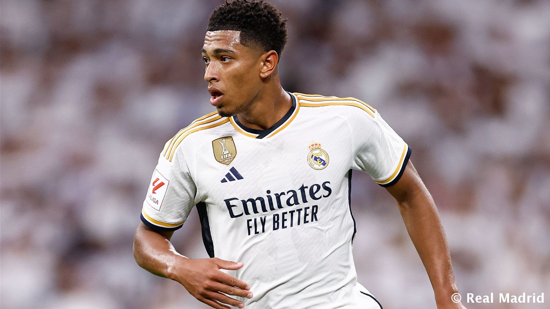 的最强底层 的最强底层